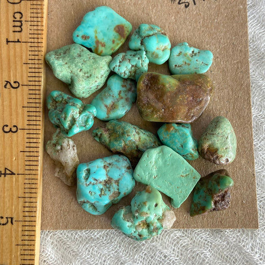 Rough Tumbled Sonoran Gold Turquoise - #ST13