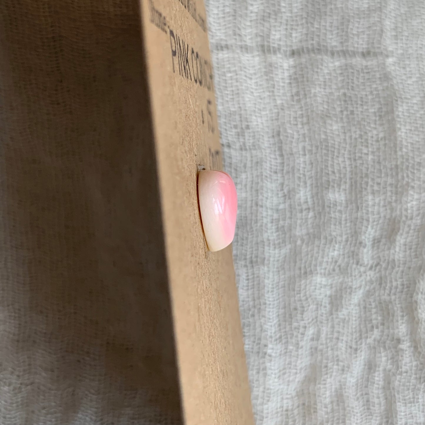 Pink Conch Cabochon - PC07