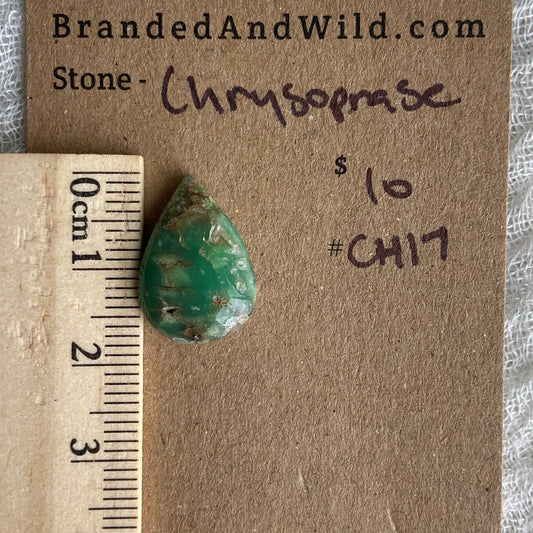 Chrysoprase Cabochon - Ch17