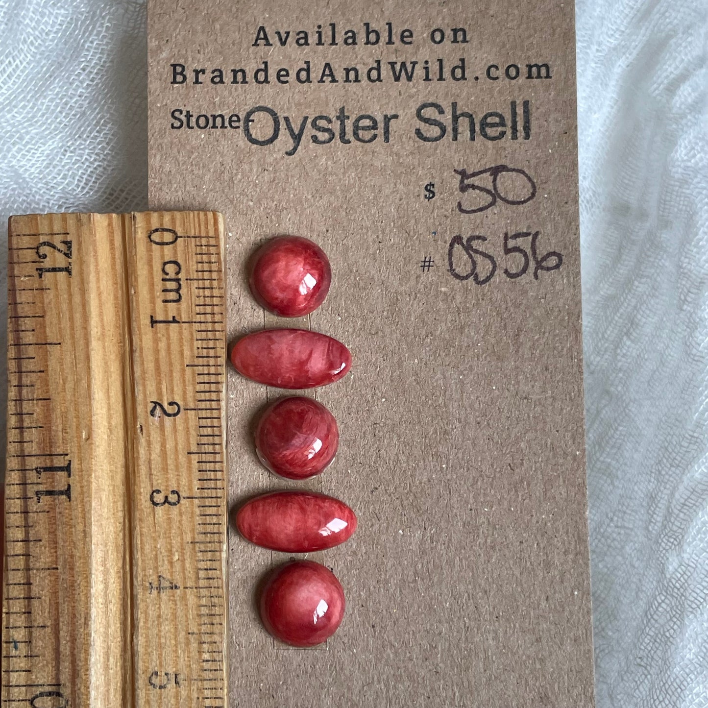Oyster Shell Cabochon - OS56