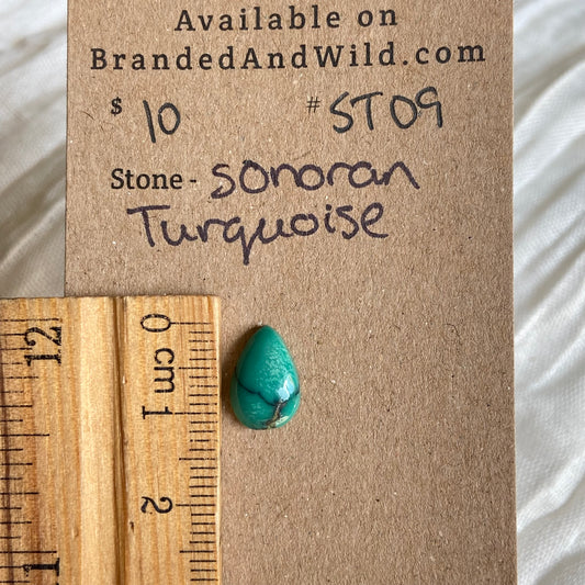 Sonoran Turquoise Cabochon - ST09 90EAB492-AEA4-483D-8353-0823BBB1B496 Brandedandwild.com