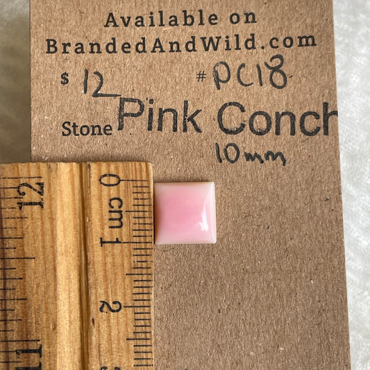Pink Conch Cabochon - PC18