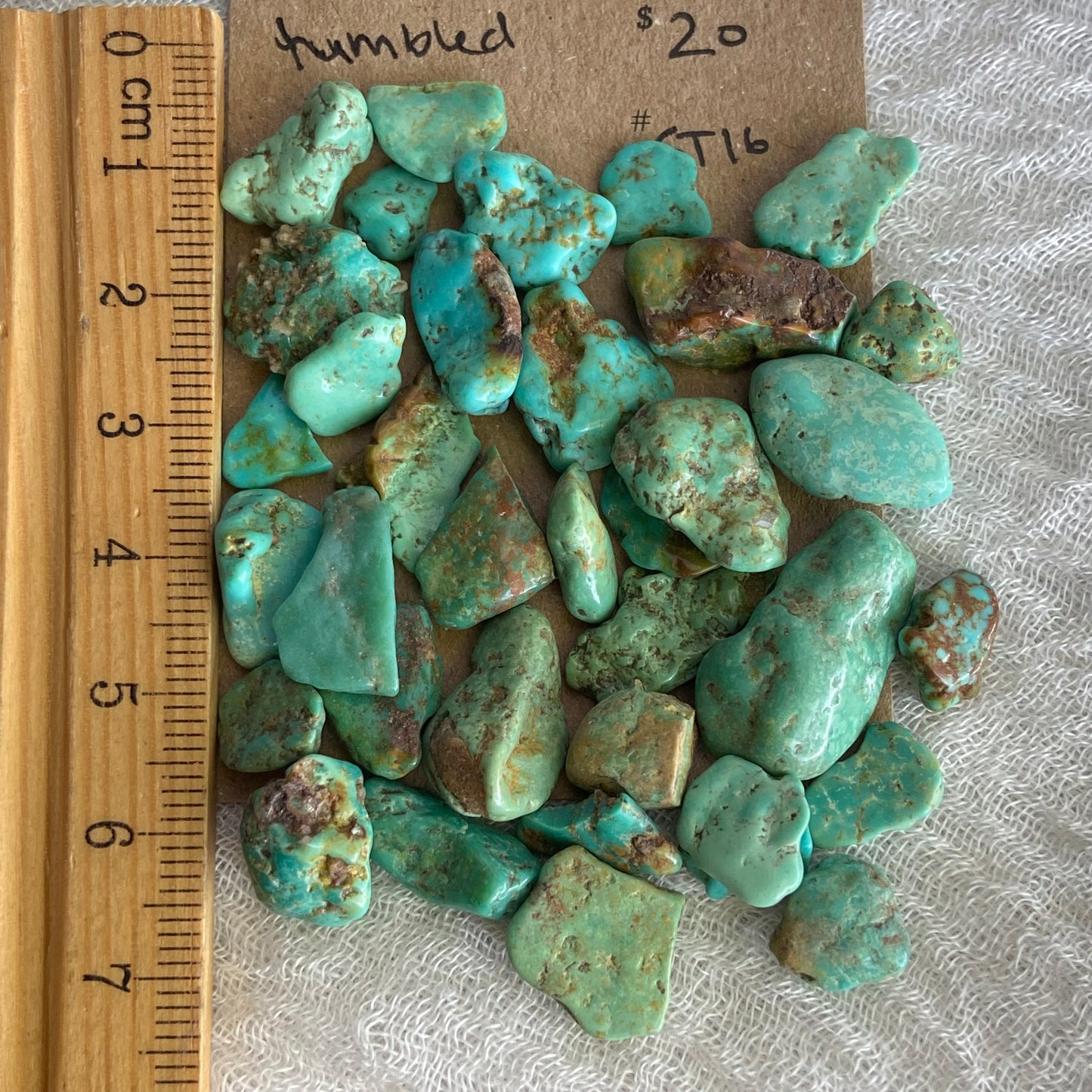 Rough Tumbled Sonoran Gold Turquoise - #ST16