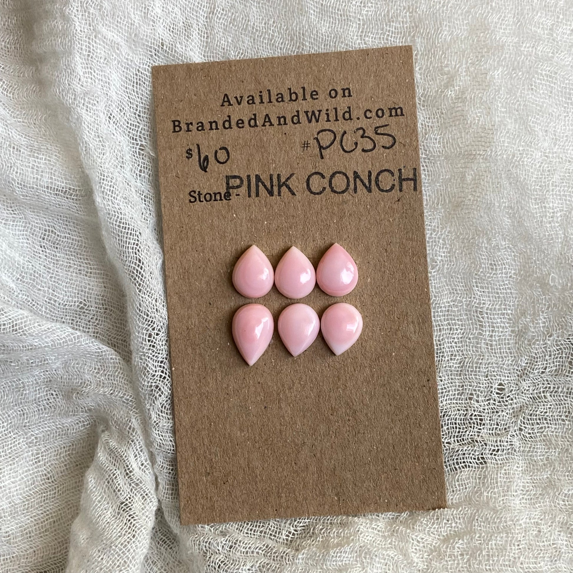 Pink Conch Cabochon - PC35 9113D78D-38CD-44AB-806F-CB9B888CFB93 Brandedandwild.com