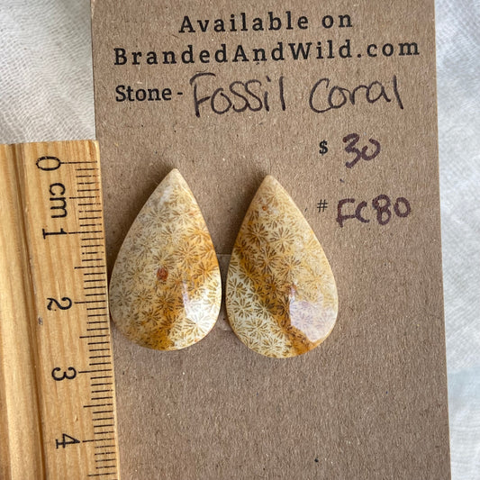 Fossil Coral Cabochon - FC80