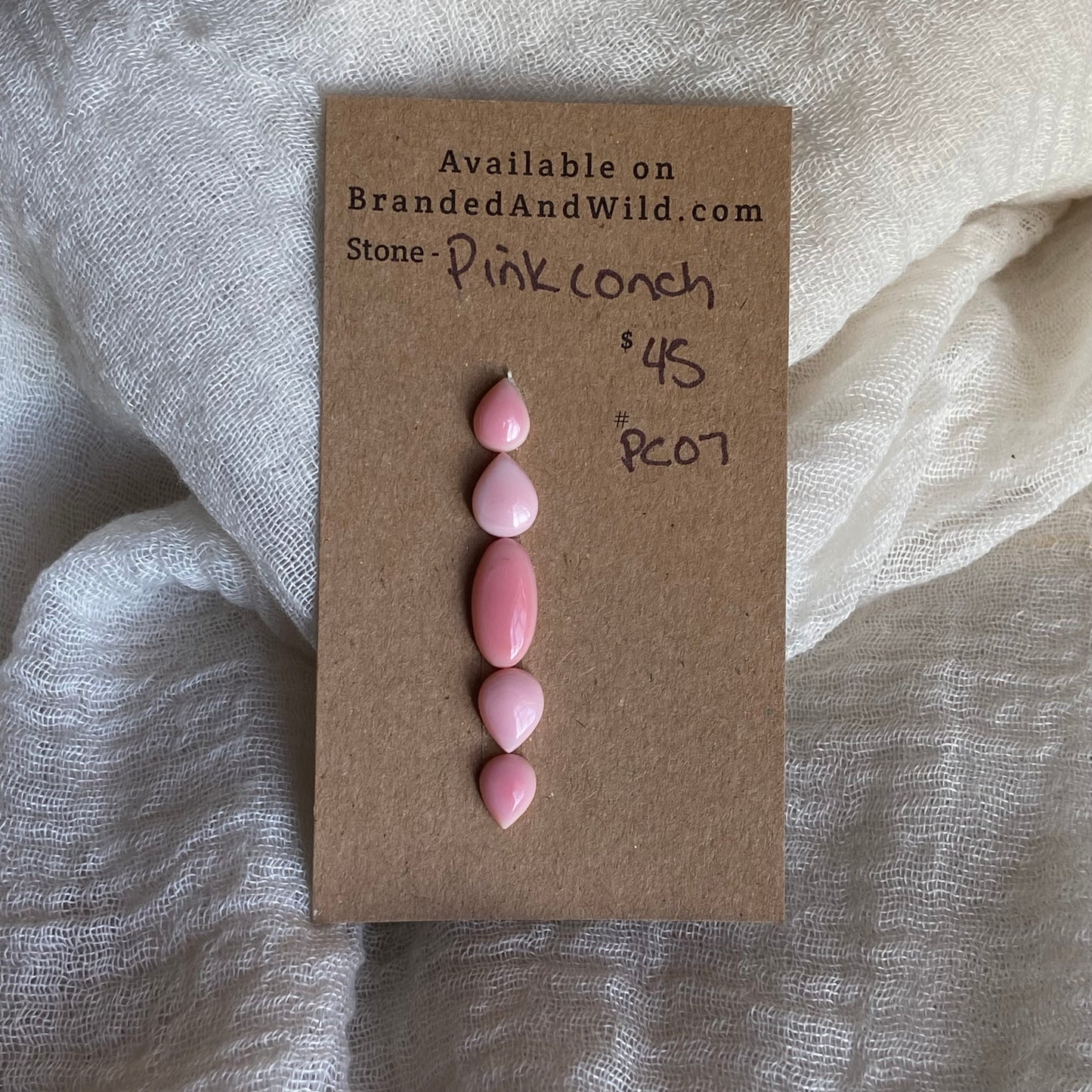 Pink Conch Cabochon - PC07