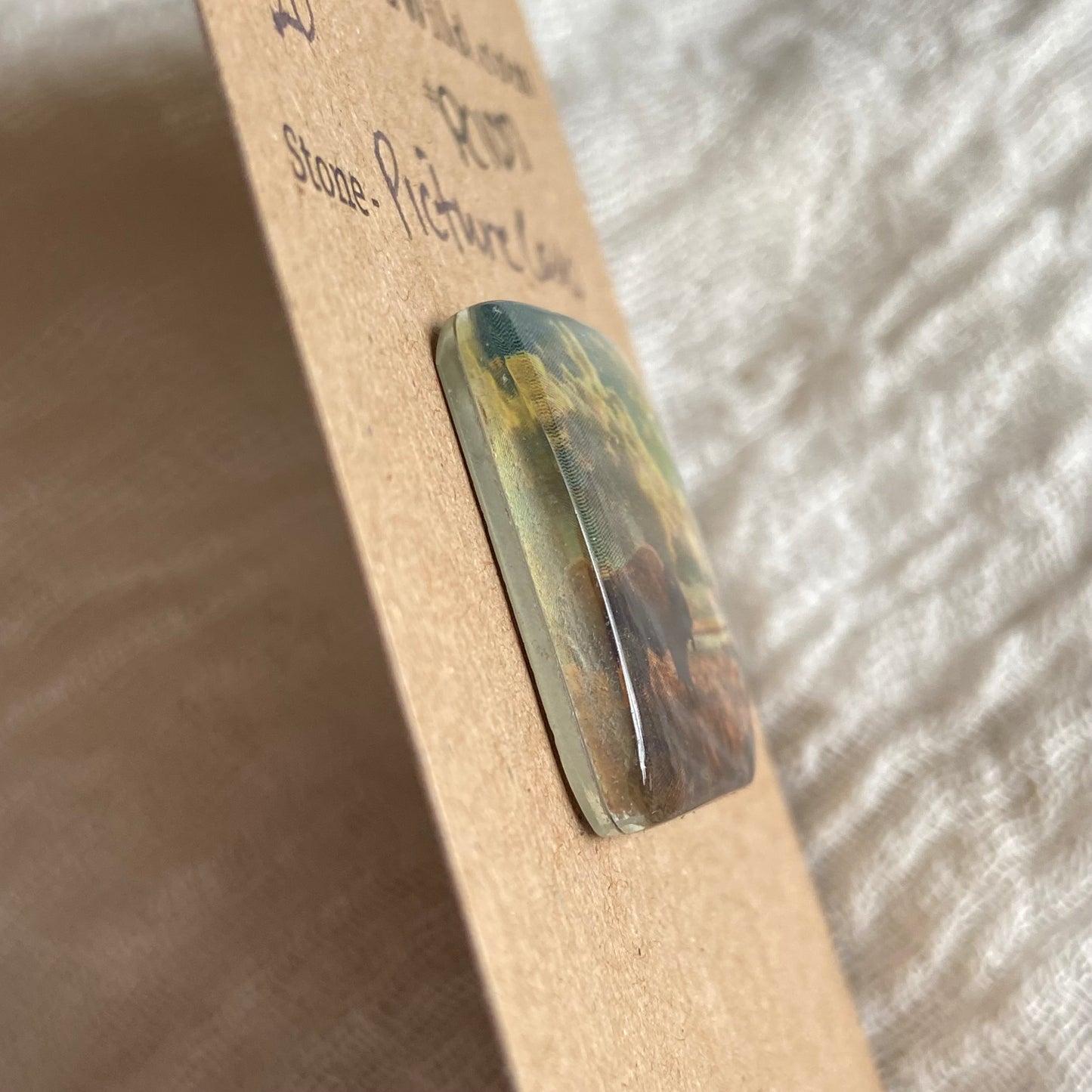 Picture Cabochon - Cabochon - PC97 9165E3FB-3ABD-4947-AC3C-5E127B1C3014 Brandedandwild.com