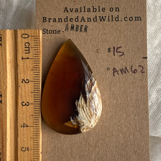 Amber Cabochon AM62