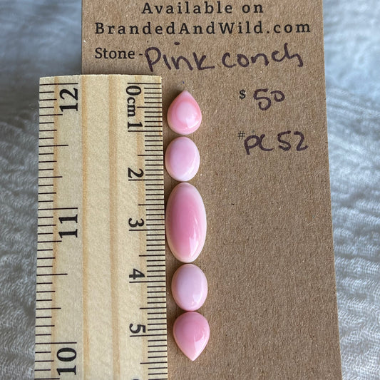 Pink Conch Cabochon - PC52