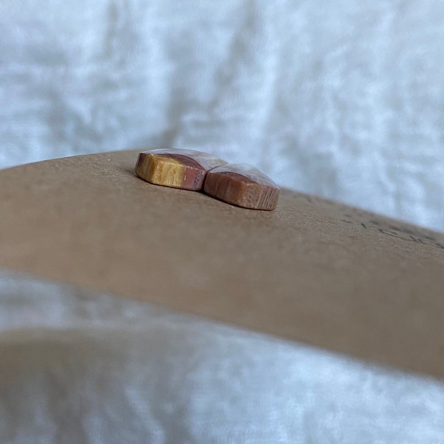 Fossil Coral Cabochon - FC105