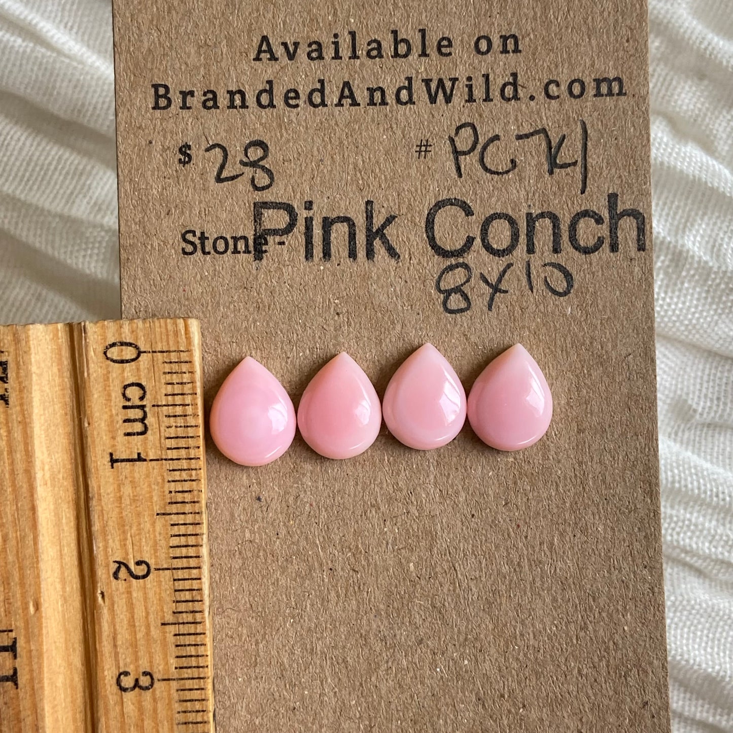 Pink Conch Cabochon - PC74