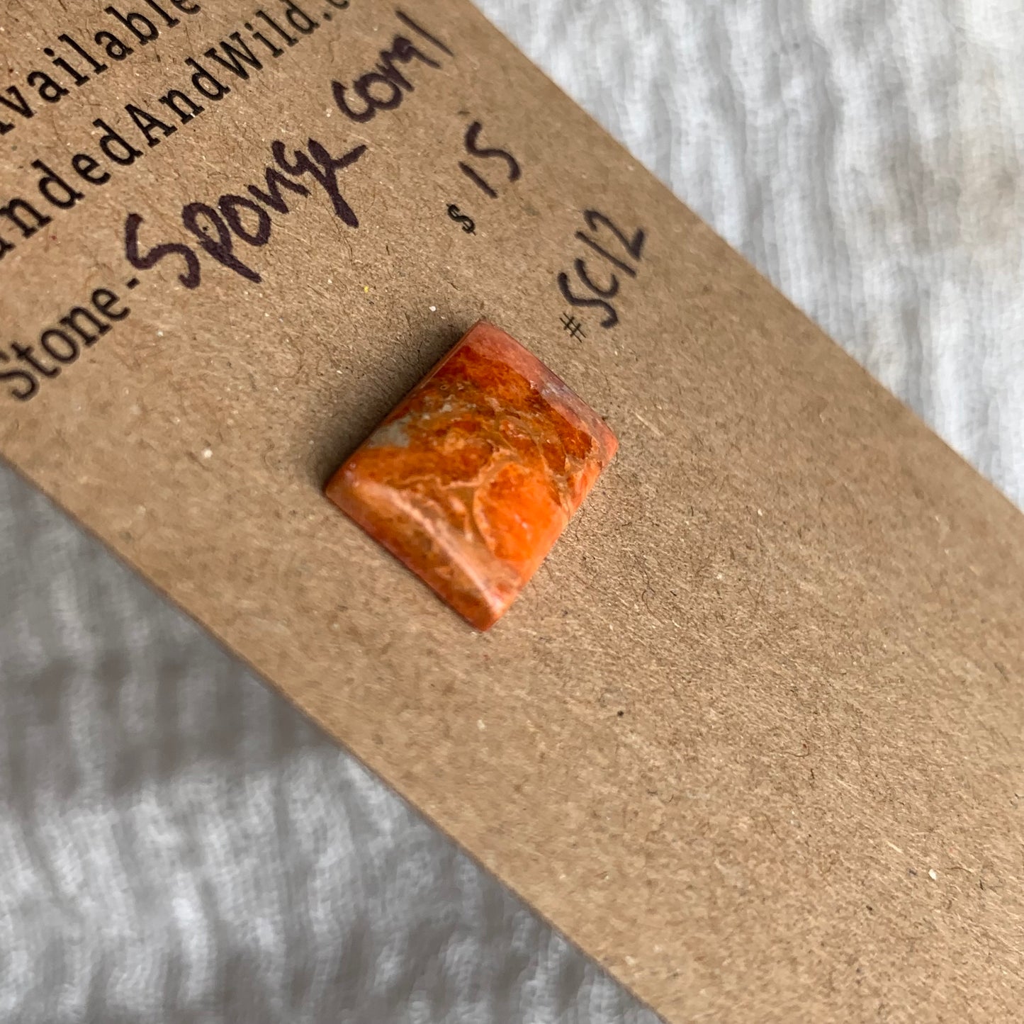 Sponge Coral Cabochon - SC12