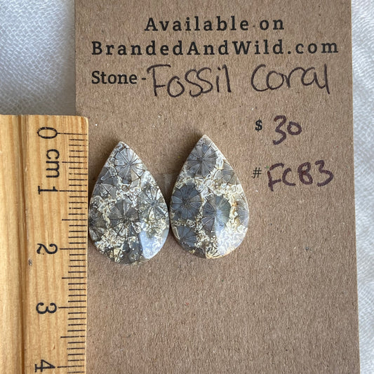 Fossil Coral Cabochon - FC83