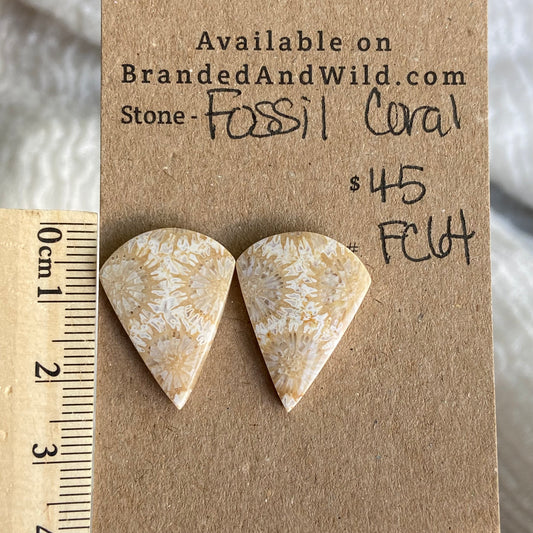 Fossil Coral Cabochon - FC64