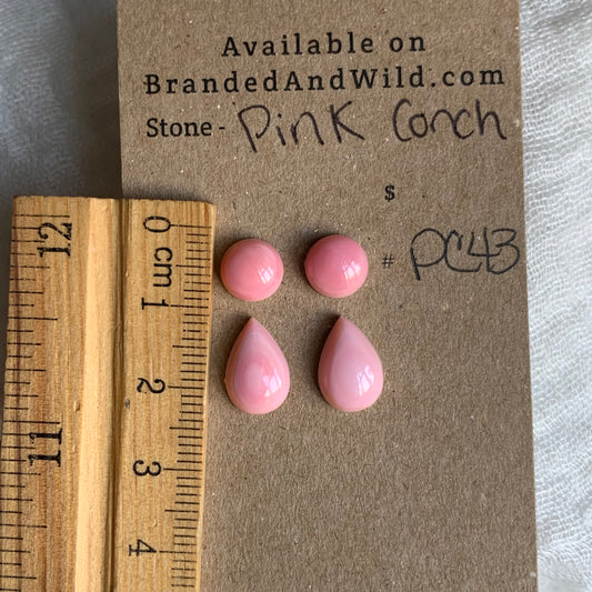 Pink Conch Cabochon - PC43