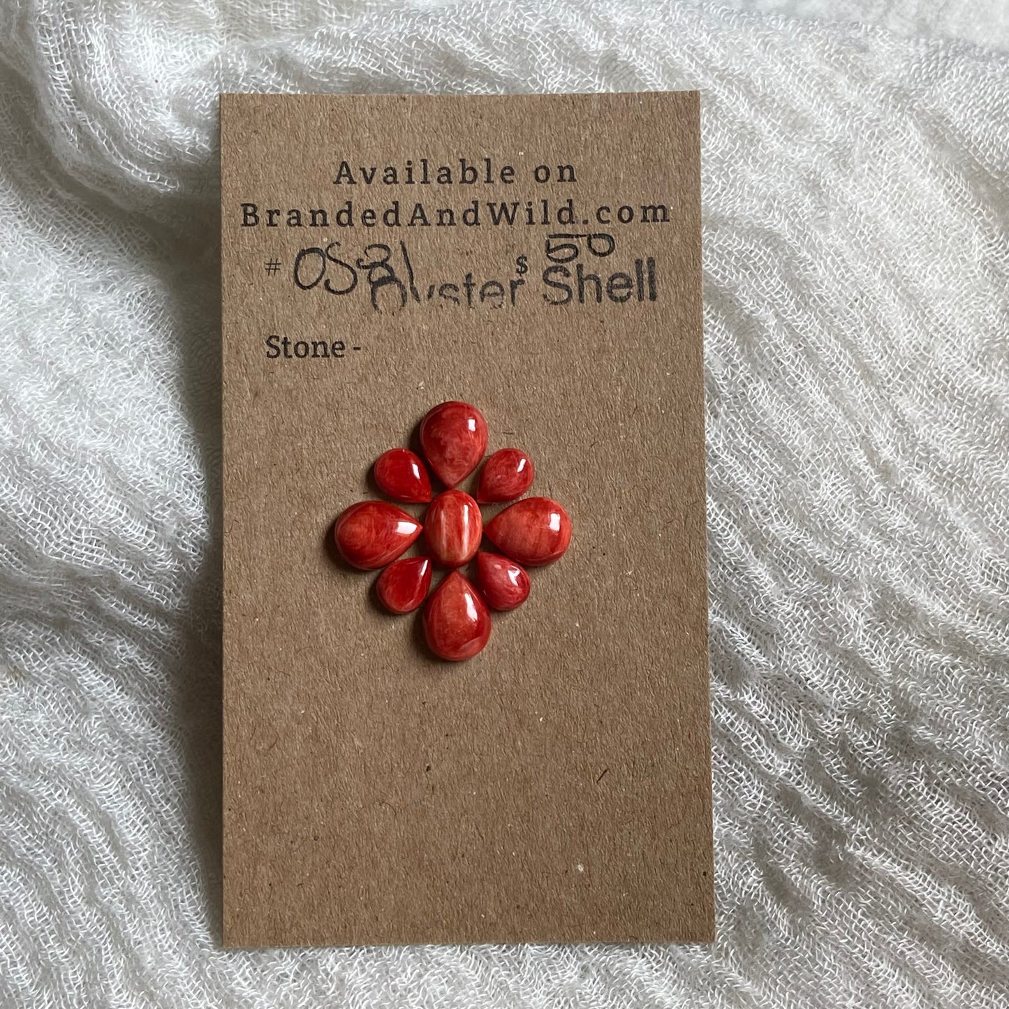 Oyster Shell Cabochon - OS81