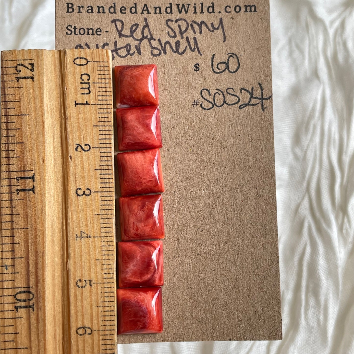 Spiny Oyster Shell Cabochon - SOS24 9224FBCC-2032-47AA-AAB7-BDD264B91D4C Brandedandwild.com