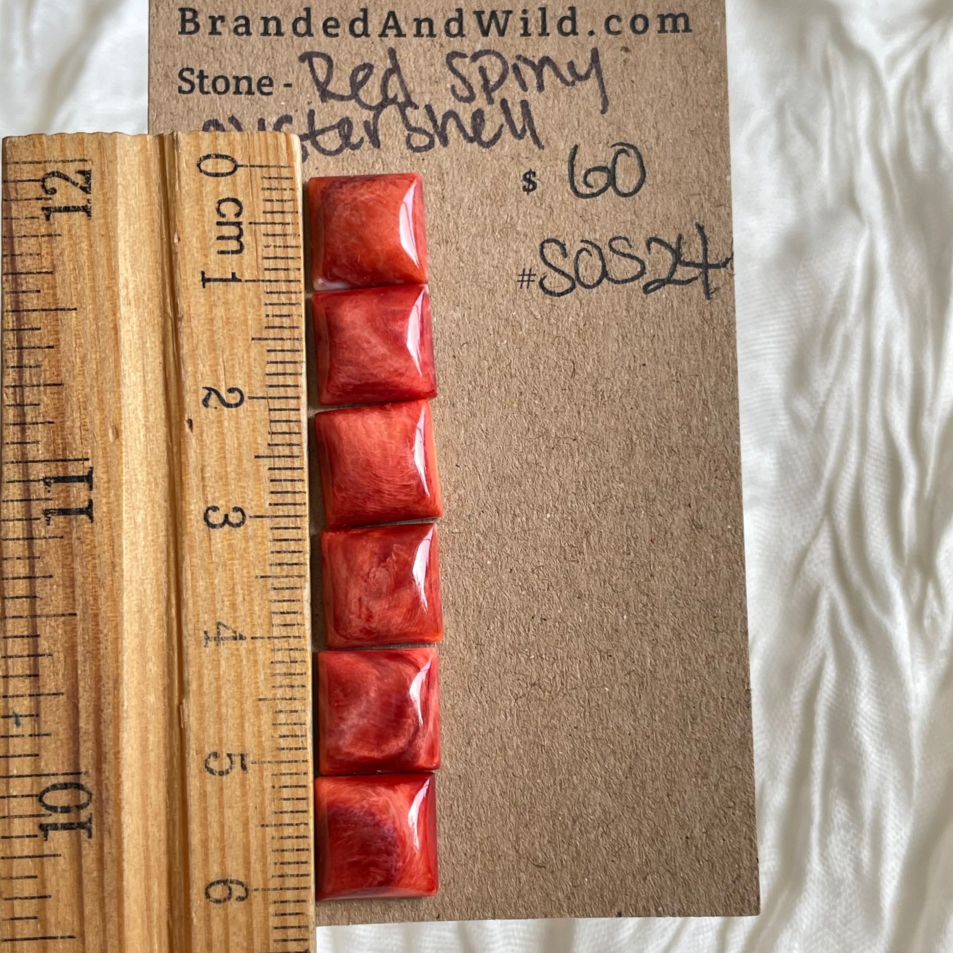 Spiny Oyster Shell Cabochon - SOS24 9224FBCC-2032-47AA-AAB7-BDD264B91D4C Brandedandwild.com