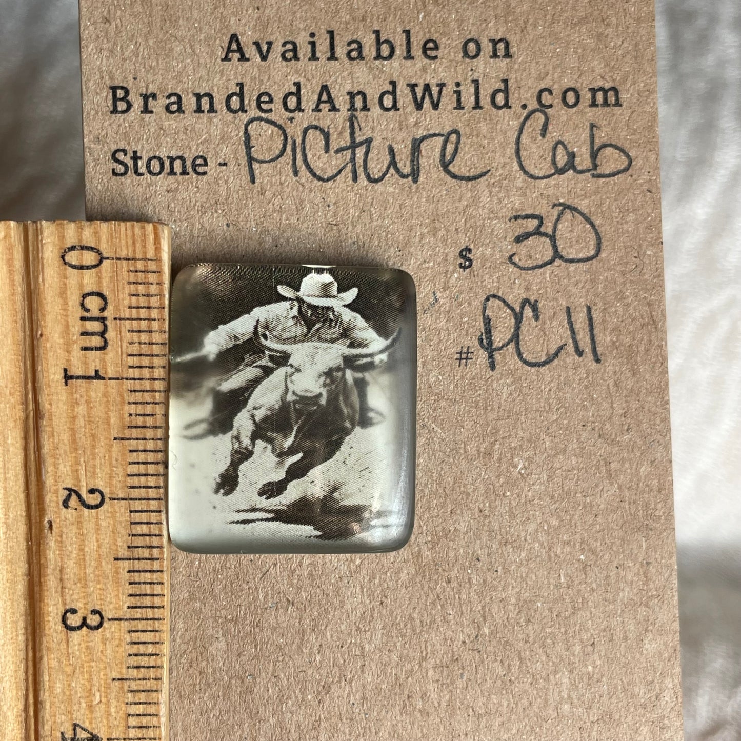 Picture Cabochon - Cabochon - PC11 9236E656-CA3B-4745-B449-1A85B21E895F Brandedandwild.com