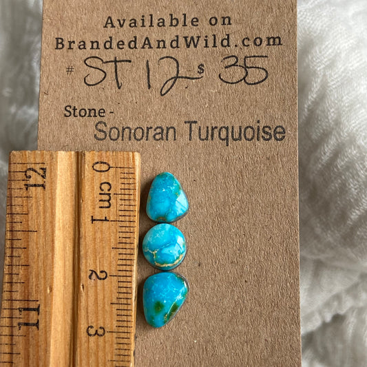 Sonoran Turquoise Cabochon - ST12 923A062F-89F1-460B-AC1E-145C33F8FEA7 Brandedandwild.com