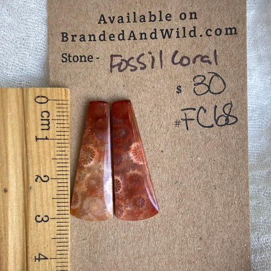 Fossil Coral Cabochon - FC68