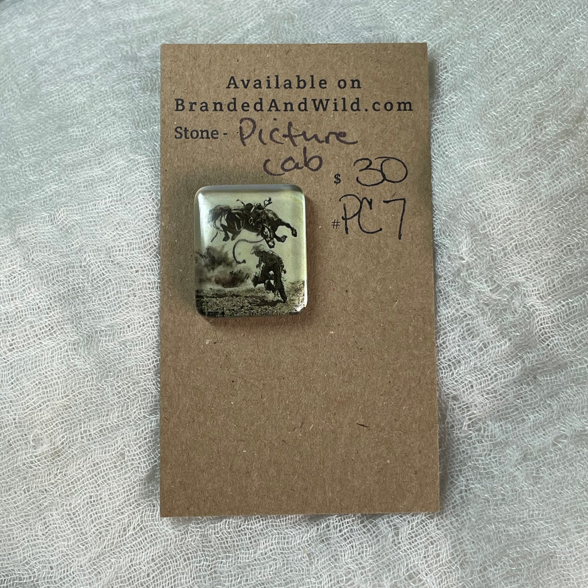 Picture Cabochon - Cabochon - PC7 9248B816-9E29-49B0-B7F1-369FDD9F361A Brandedandwild.com