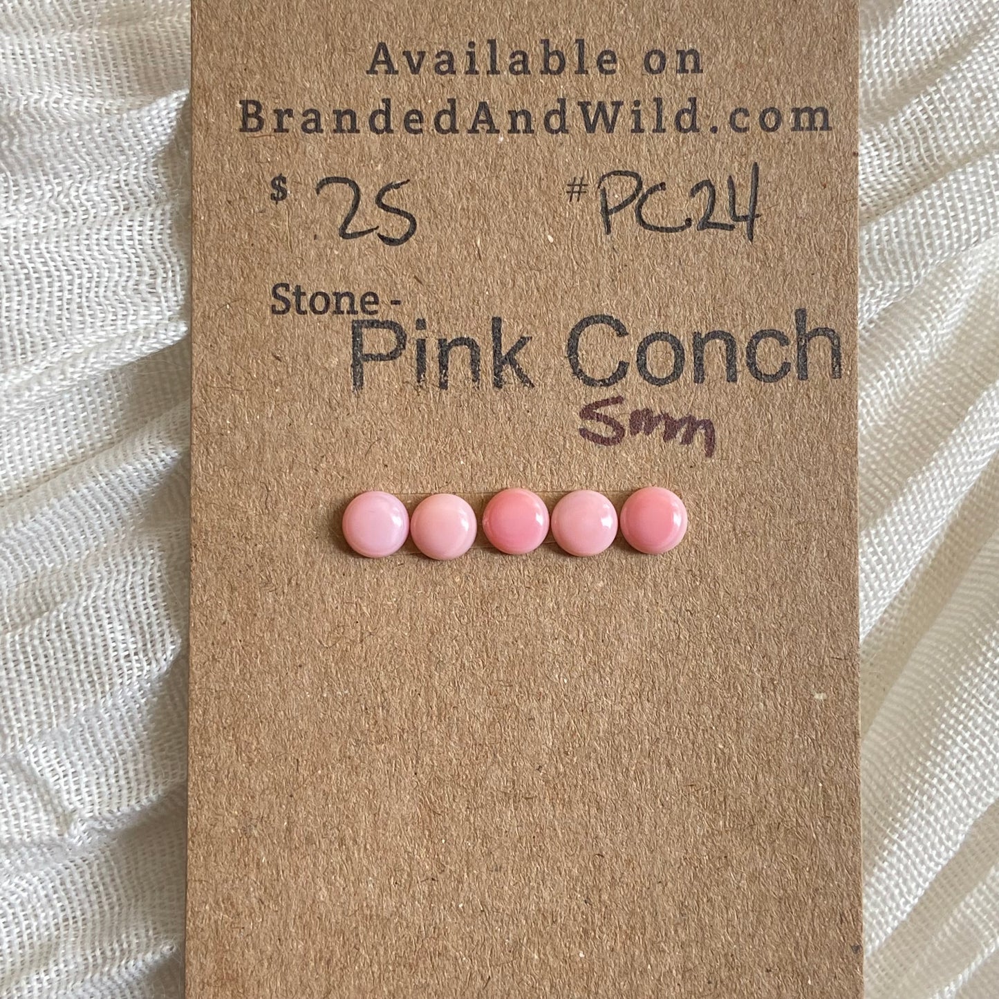 Pink Conch Cabochon - PC24 9264AA12-A1B0-4A02-A4CE-1851092F545C Brandedandwild.com