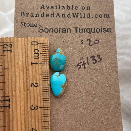 Sonoran Turquoise Cabochon - ST133