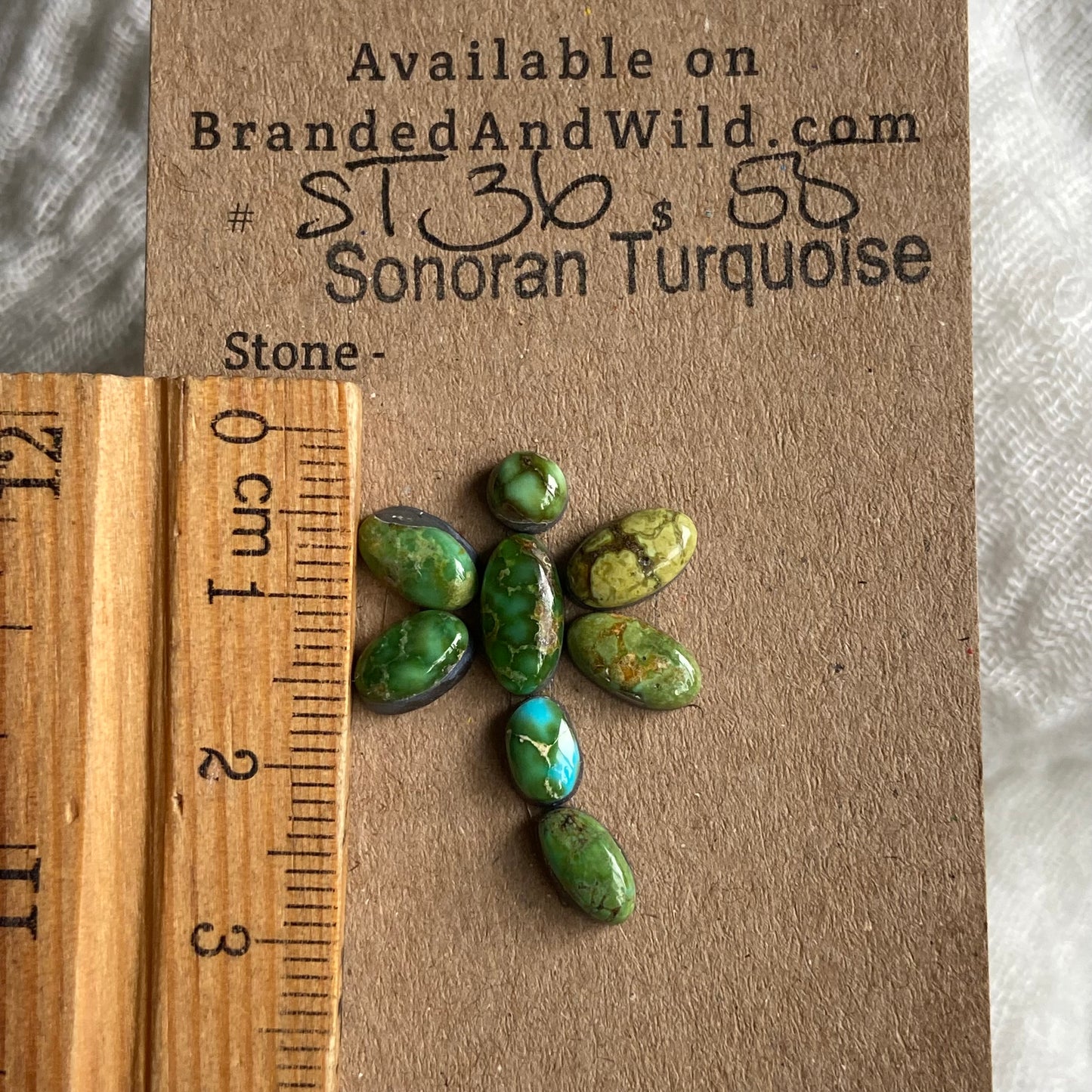 Sonoran Turquoise Cabochon - ST36