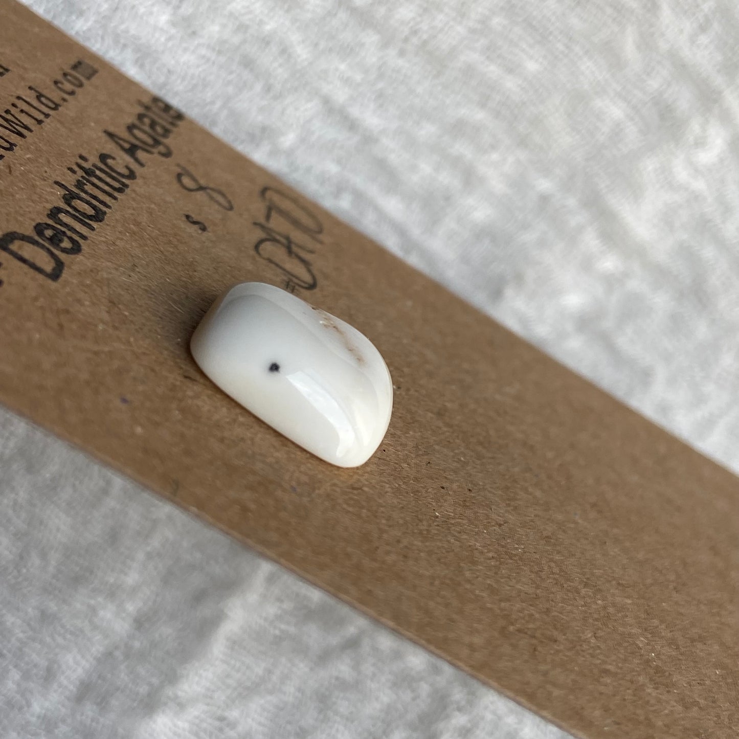 Dendritic Agate Cabochon - DA70
