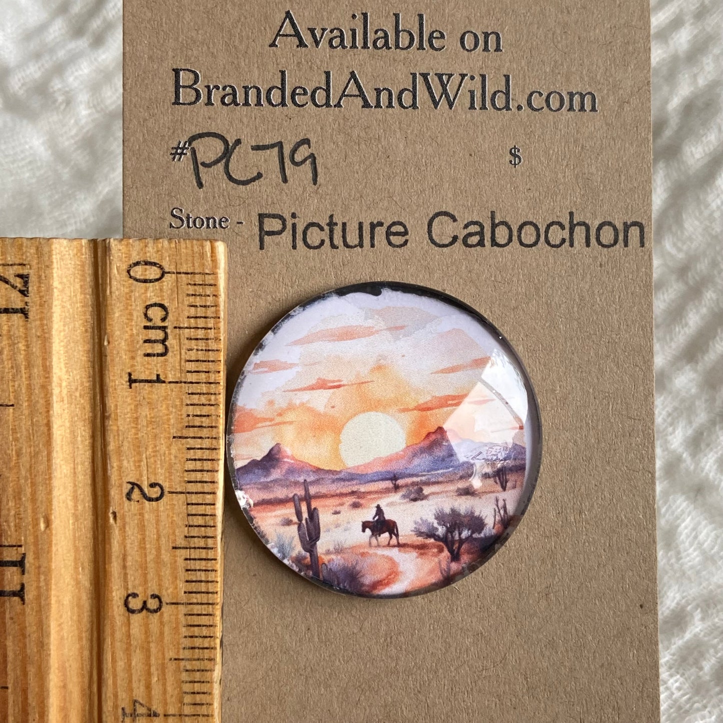 Picture Cabochon - Cabochon - PC79 92CFFB0D-6F50-445D-A060-18BA69738EA9 Brandedandwild.com