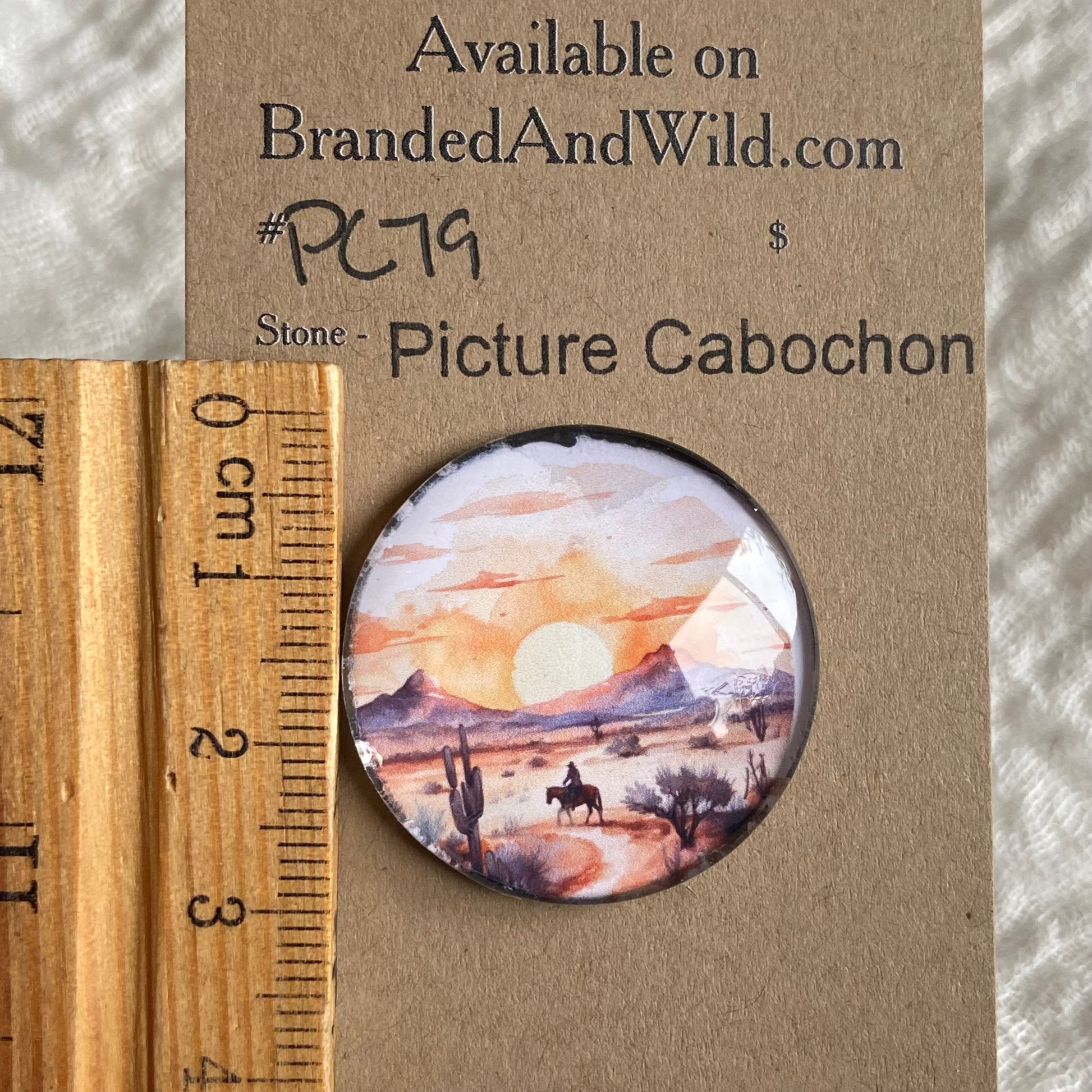Picture Cabochon - Cabochon - PC79 92CFFB0D-6F50-445D-A060-18BA69738EA9 Brandedandwild.com