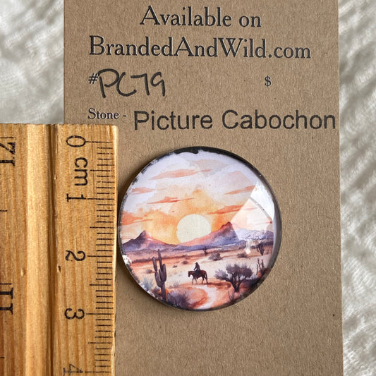 Picture Cabochon - Cabochon - PC79 92CFFB0D-6F50-445D-A060-18BA69738EA9 Brandedandwild.com