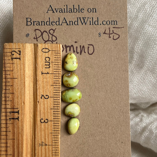 Palomino Cabochon - P08 93022510-F2C0-4B39-A928-EE170A56336E Brandedandwild.com