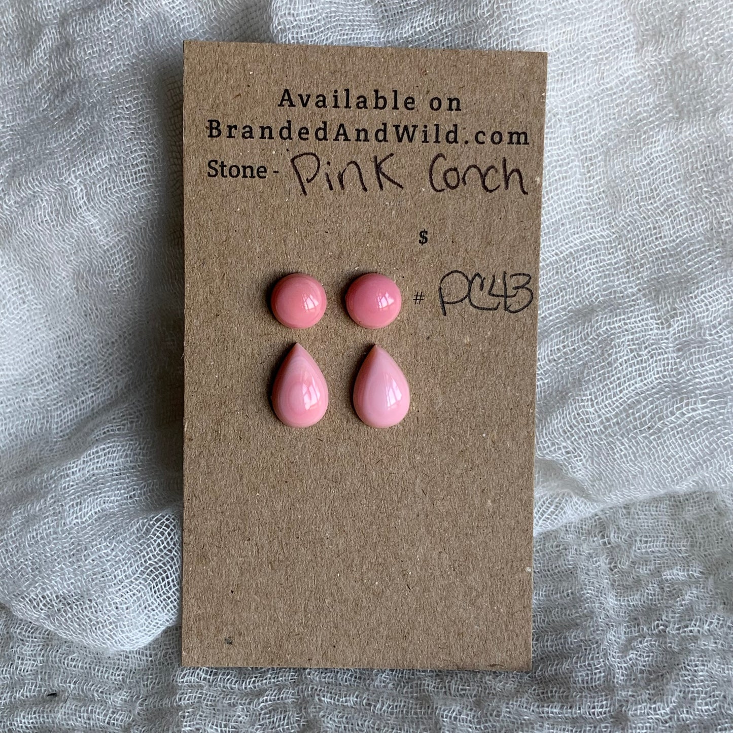 Pink Conch Cabochon - PC43