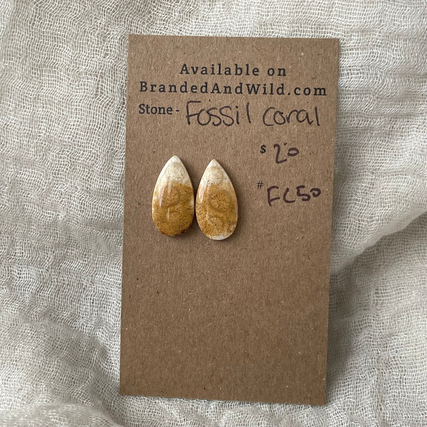 Fossil Coral Cabochon - FC50 932753E0-FF30-4F82-83AD-68F31FC34081 Brandedandwild.com