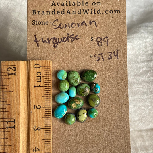 Sonoran Turquoise Cabochon - ST34