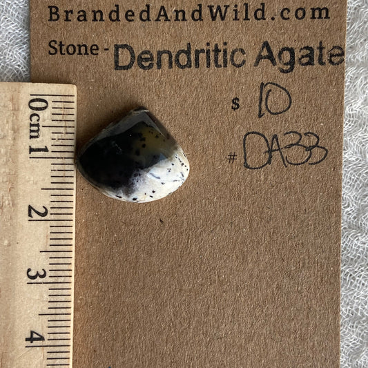 Dendritic Agate Cabochon - DA33