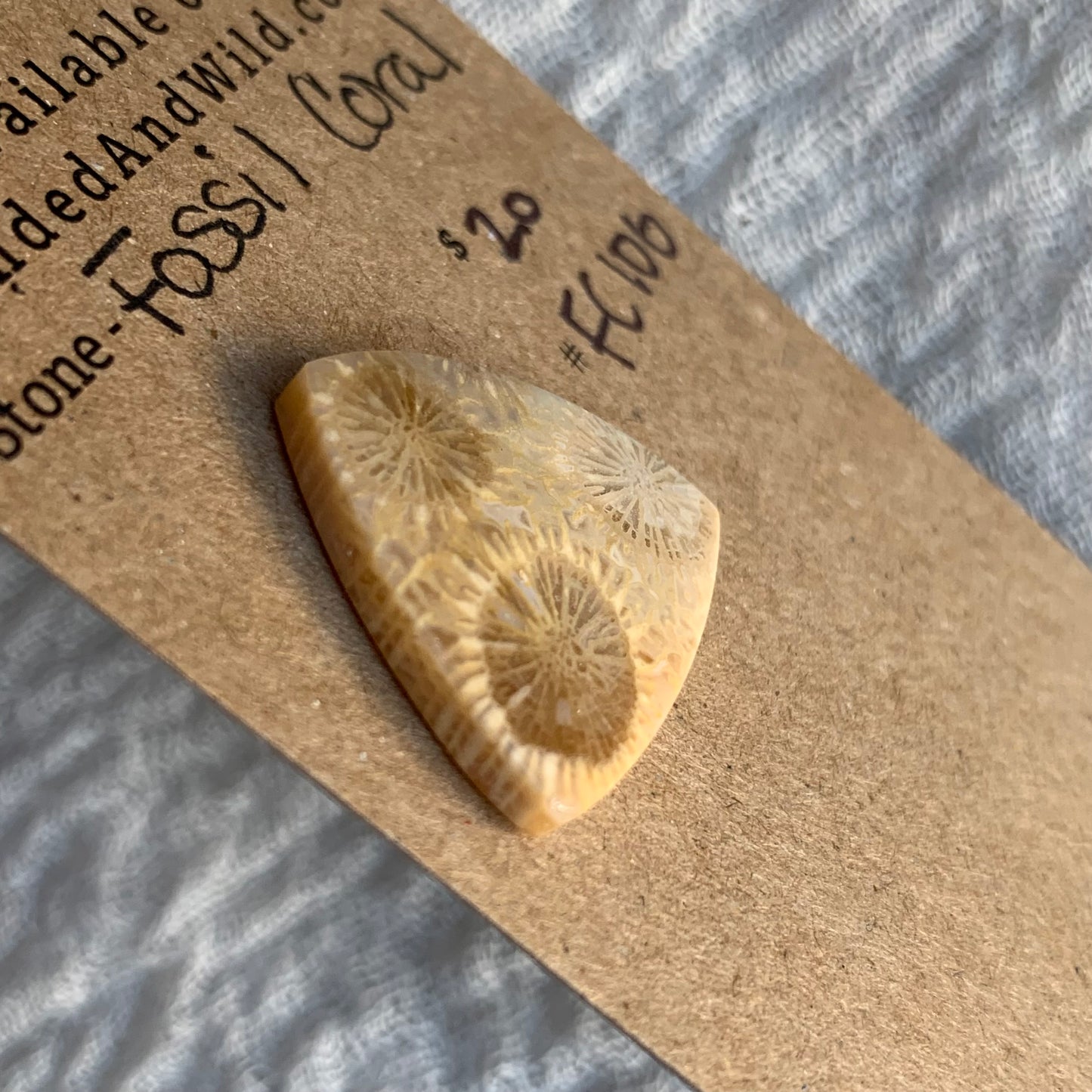 Fossil Coral Cabochon - FC100