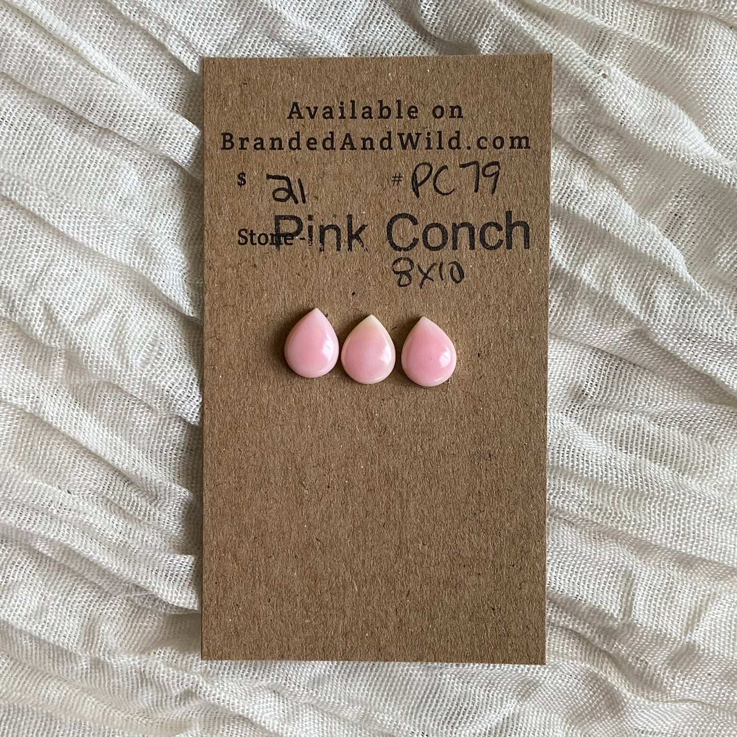 Pink Conch Cabochon - PC79