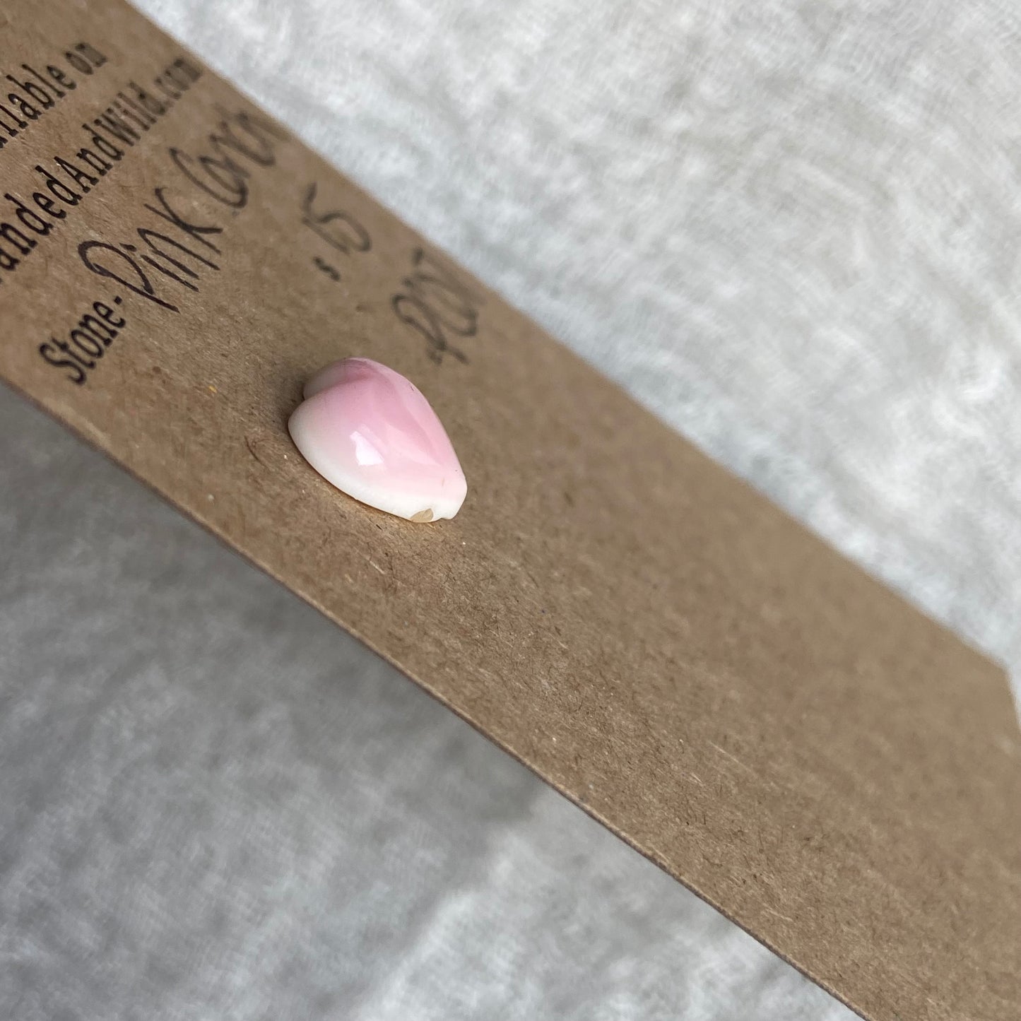 Pink Conch Cabochon - PC07