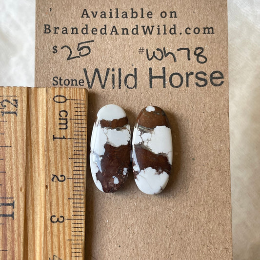 Wild Horse Cabochon - WH78 9415A246-1CA1-40CD-9395-36DB5E6D3FFC Brandedandwild.com