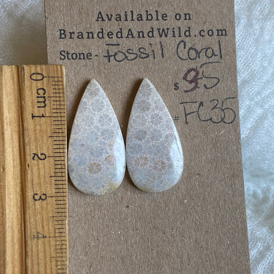 Fossil Coral Cabochon - FC35 9419D0EF-4997-42C5-8F15-9C3179597316 Brandedandwild.com