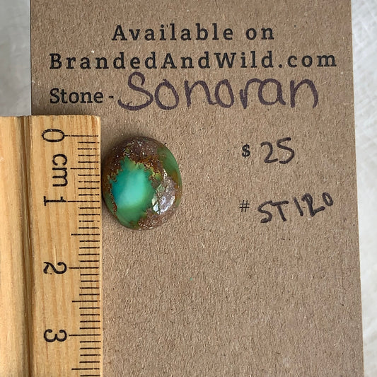 Sonoran Turquoise Cabochon - ST120