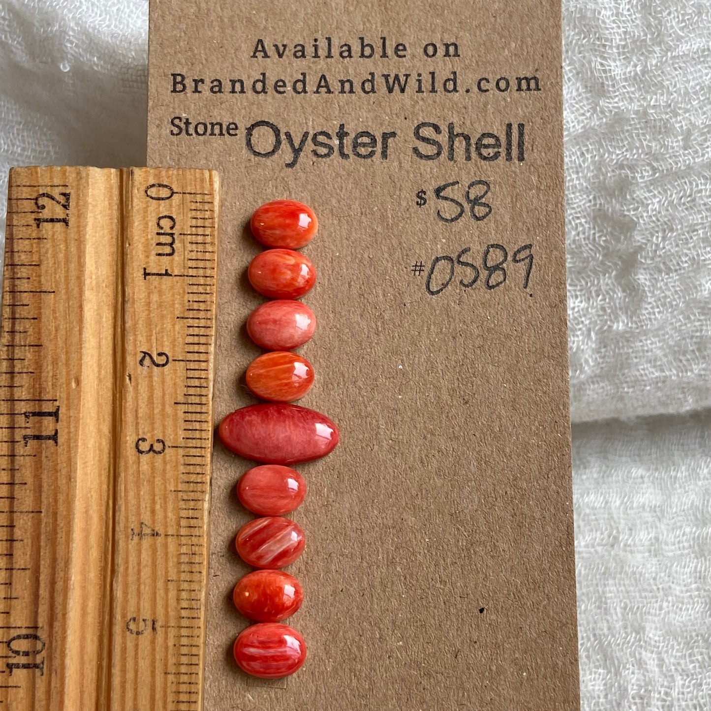 Oyster Shell Cabochon - OS89 945FDE22-1CF7-4EE8-9773-35B5D475BA9E Brandedandwild.com