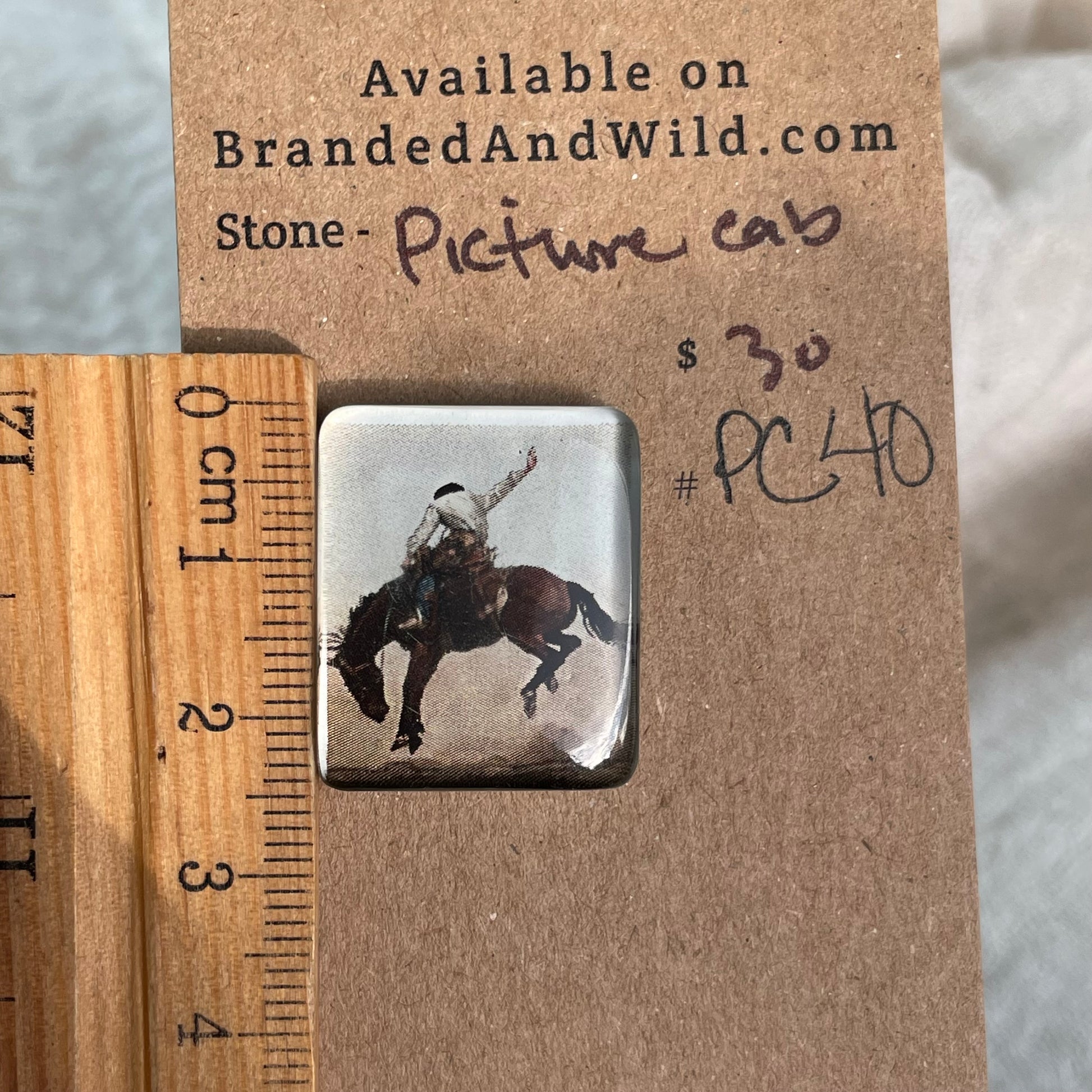 Picture Cabochon - Cabochon - PC40 946521AD-CF4D-4FD3-B91B-2D922FC5A5E5 Brandedandwild.com
