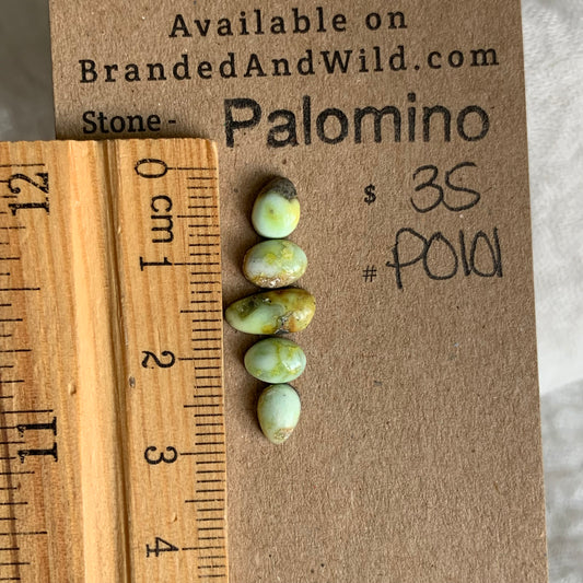 Palomino Cabochon - P0101