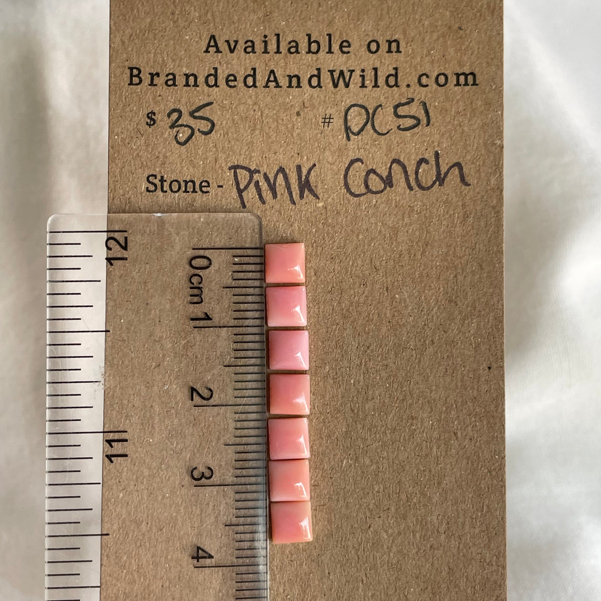 Pink Conch Cabochon - PC51 94720117-DEE7-4D39-935B-E0B8F8A2D9D9 Brandedandwild.com