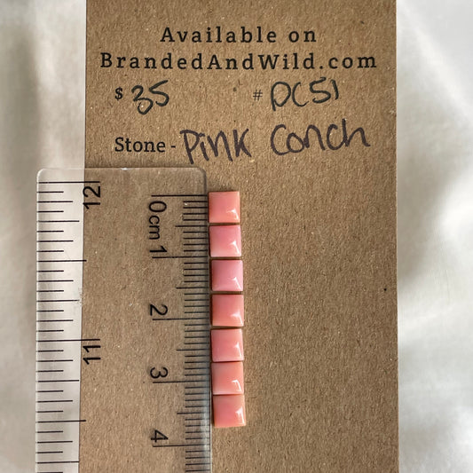Pink Conch Cabochon - PC51 94720117-DEE7-4D39-935B-E0B8F8A2D9D9 Brandedandwild.com