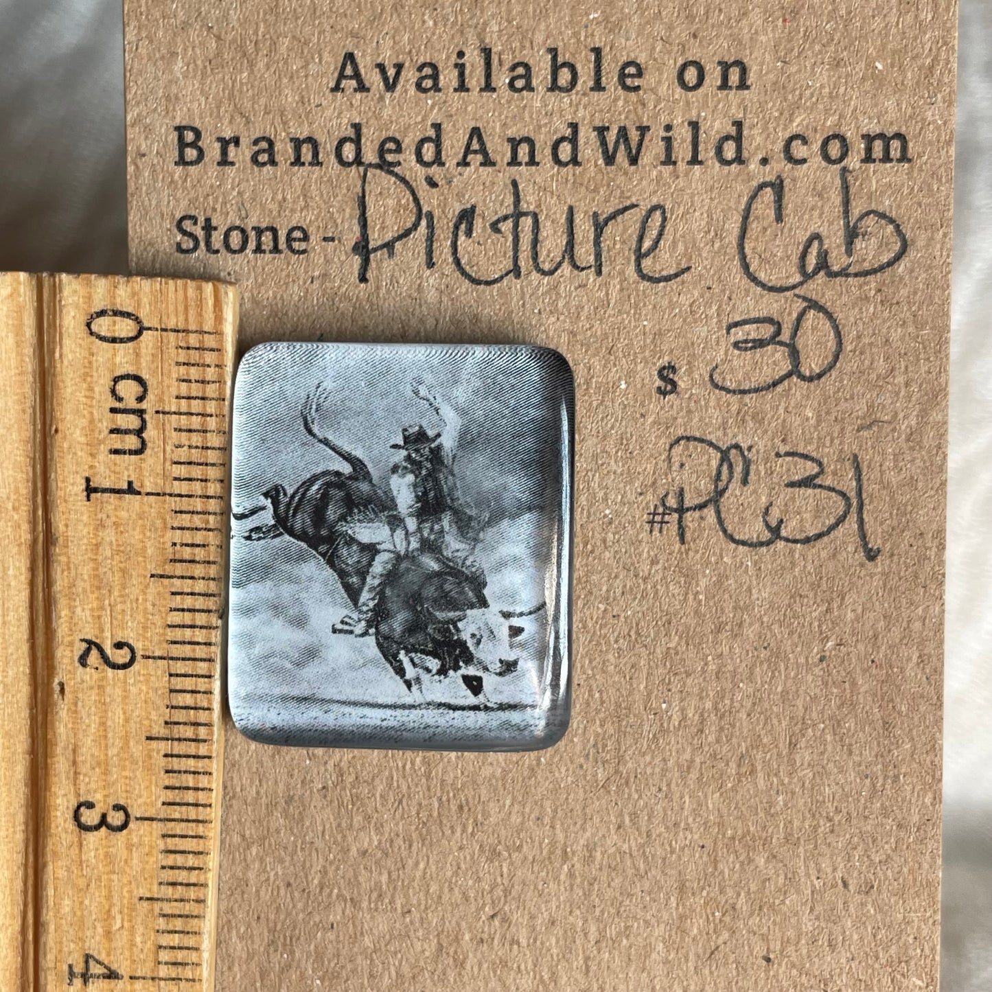 Picture Cabochon - Cabochon - PC31 9481A2EF-4706-424C-8CDA-AAE44701D440 Brandedandwild.com